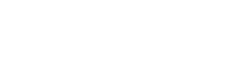 Cargologix